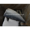 Exportação Chinesa Frozen Pacific Caverel Filetes para Atacado